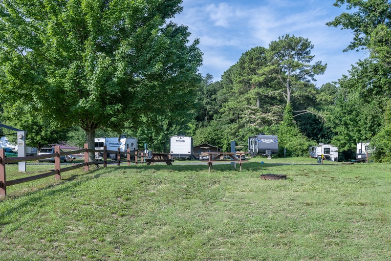 Premium Tent Site-8
