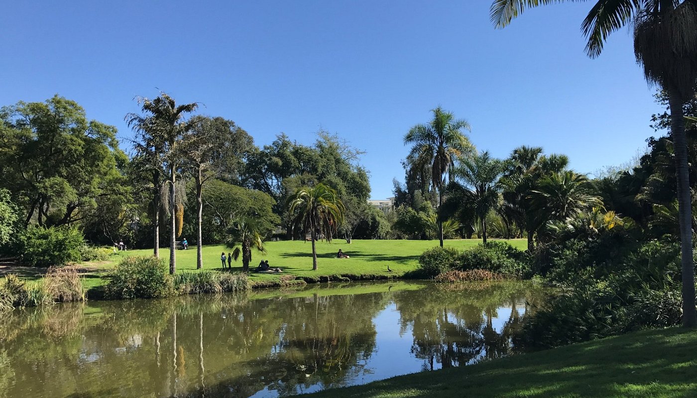 a pond with palm trees and grassy areas
