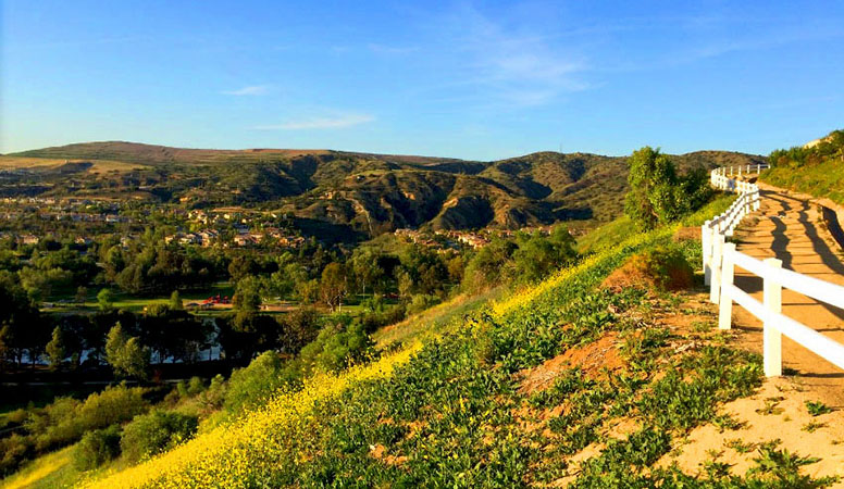 a view of a hillside with a white fence and steps