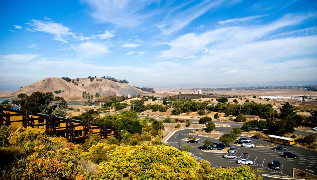 Don_Edwards_San_Francisco_bay_Julie Belson