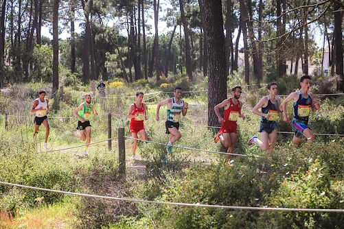 49ª Cross Internacional das Amendoeiras em Flor