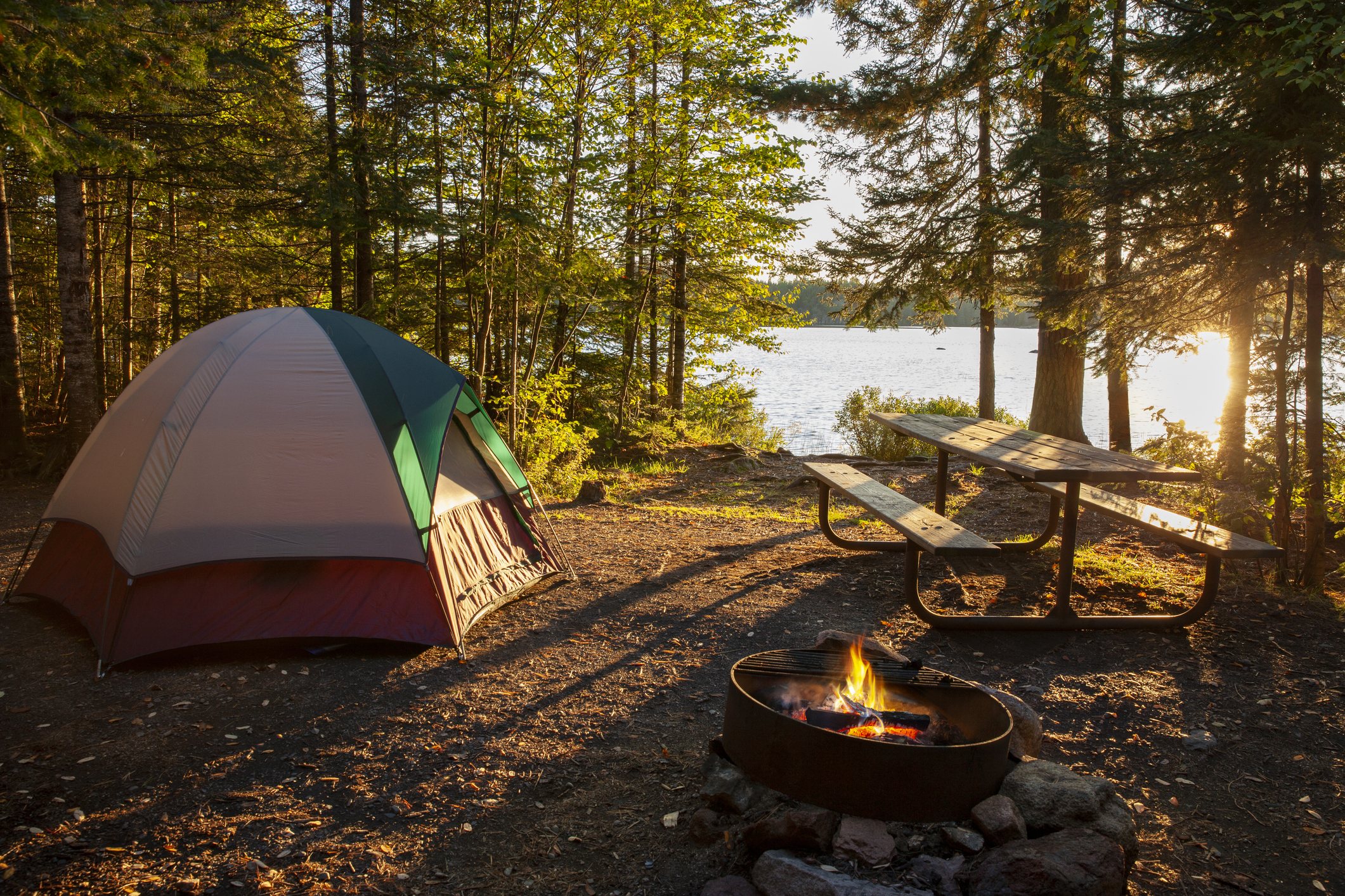Valle Vidal Wilderness Area