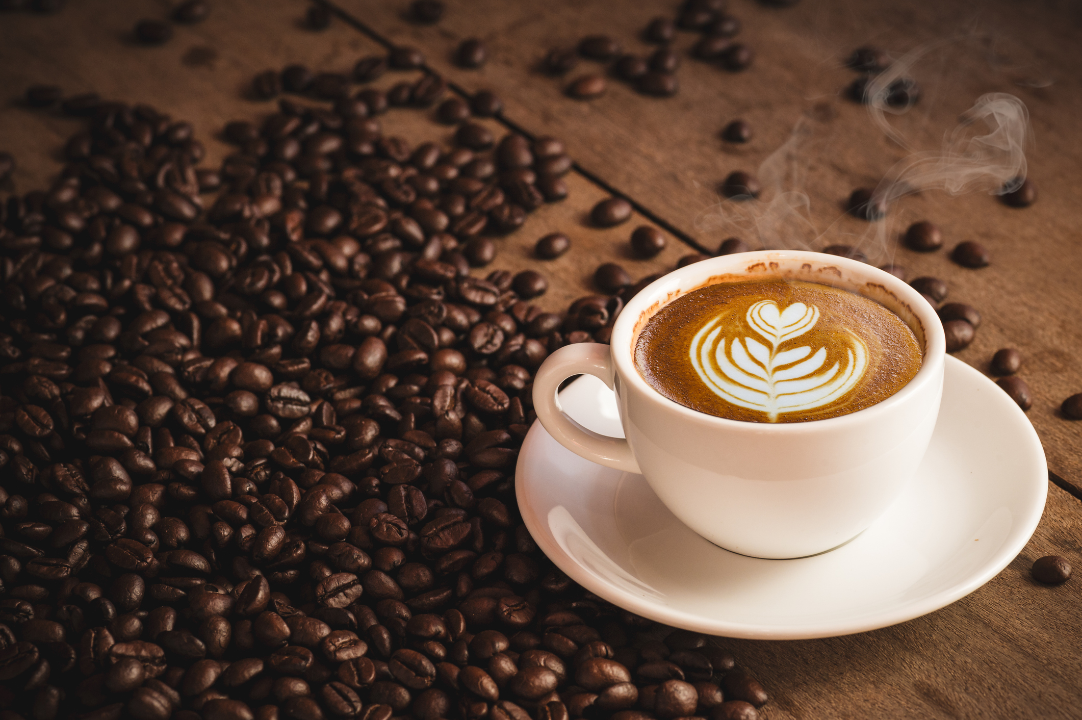 Root House Coffee & Store