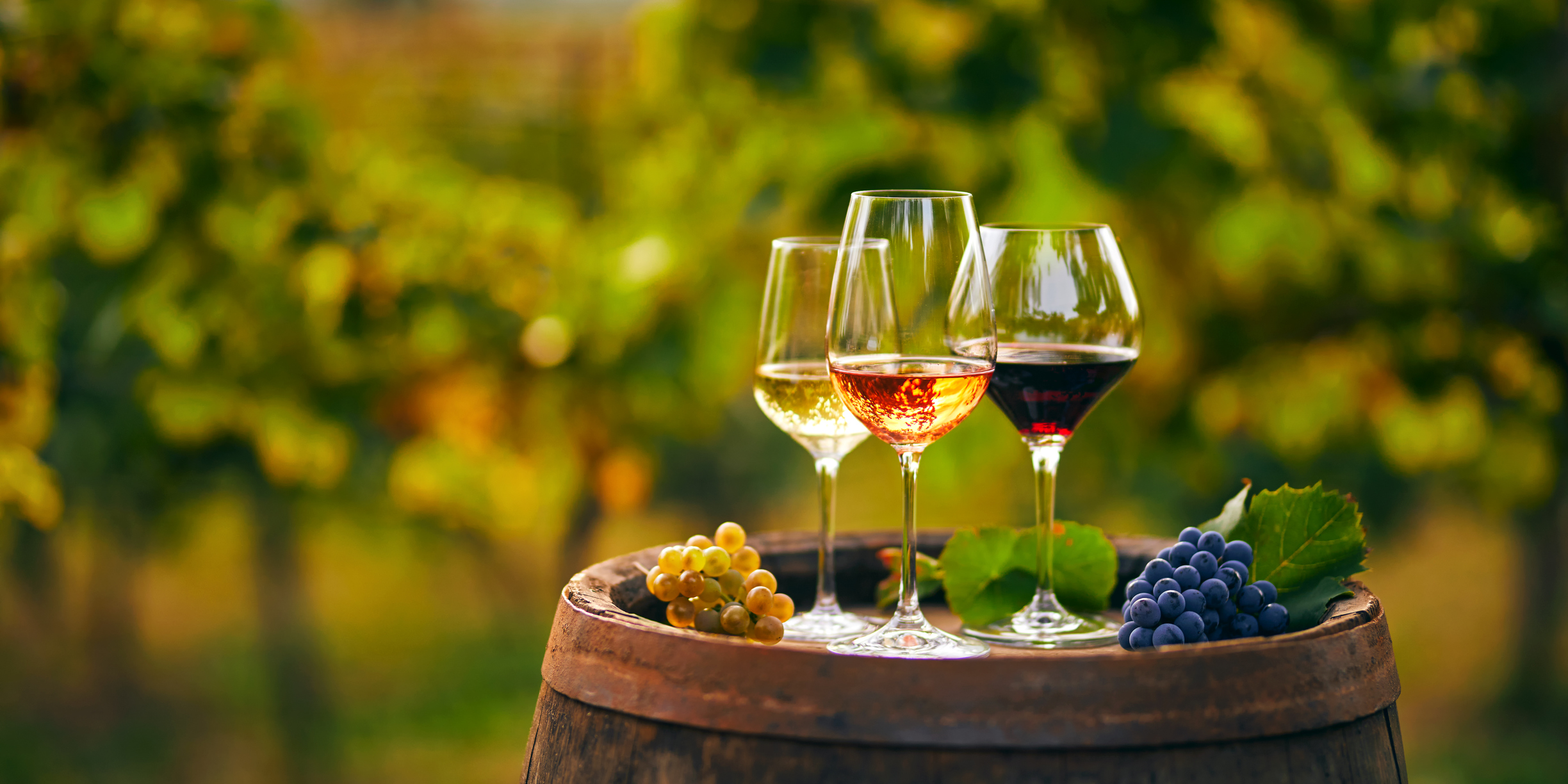 Kendall-Jackson Wine Estate & Gardens, Santa Rosa