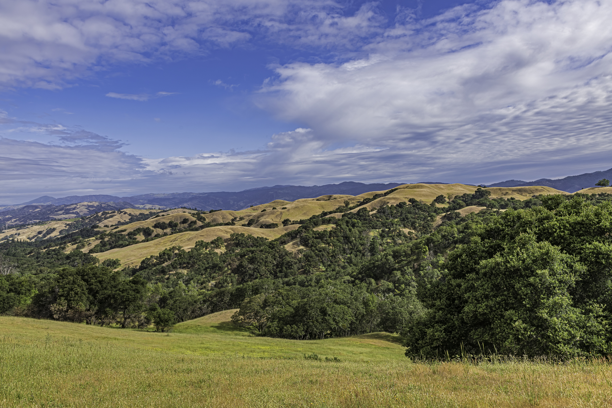Pepperwood Preserve California