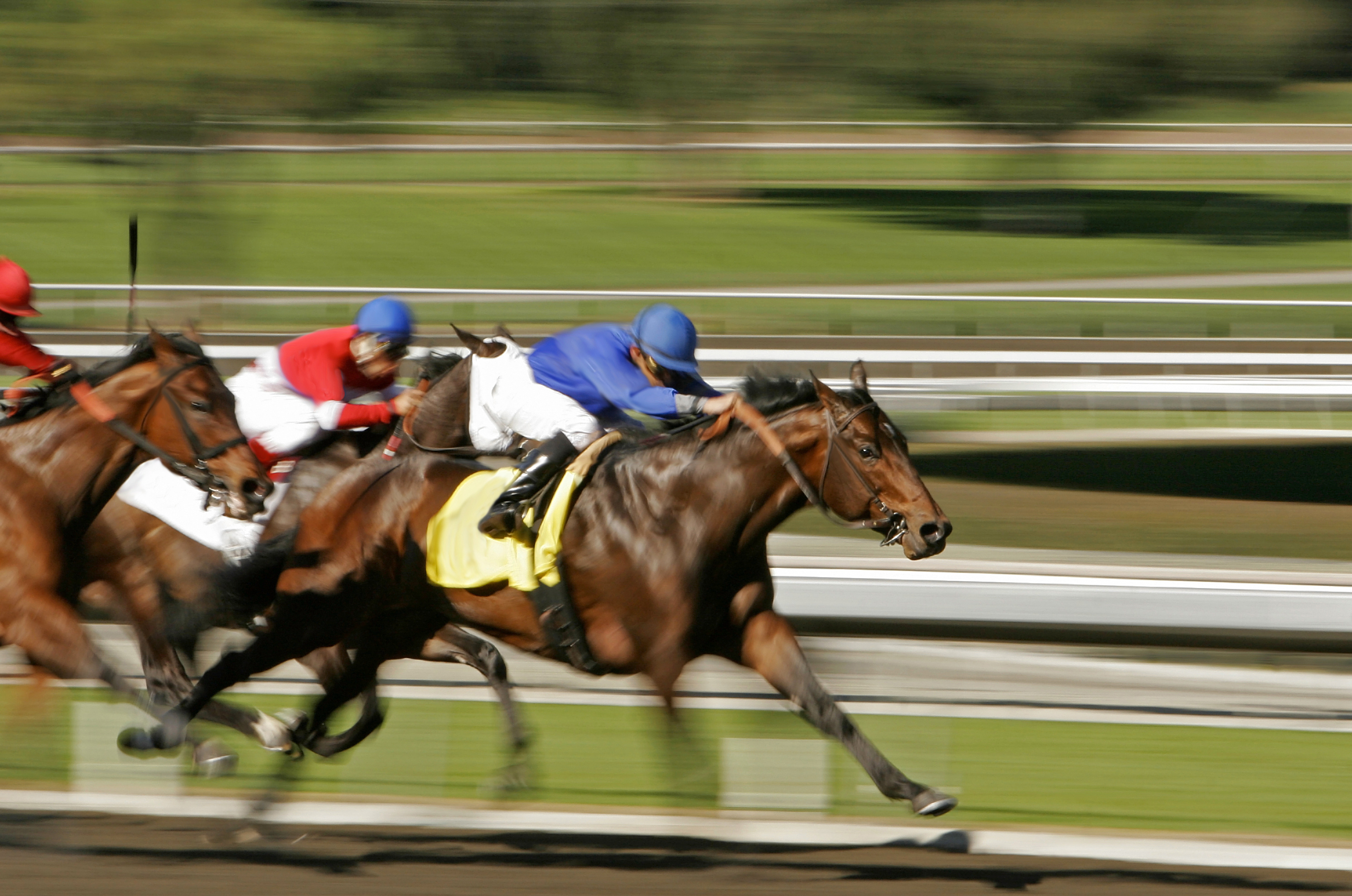 Best Hotels for The Kentucky Derby in Louisville, KY