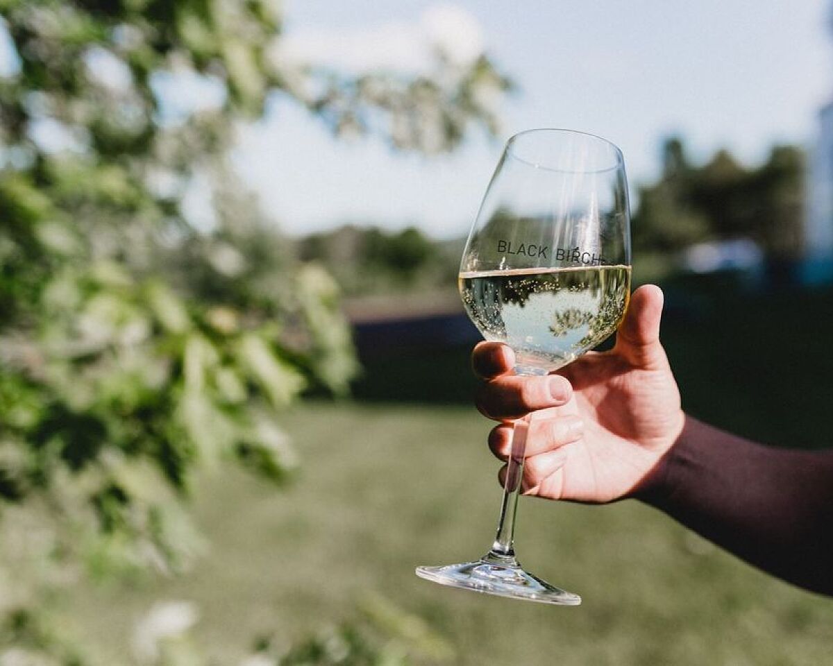 Black Birch Vineyard in Northampton