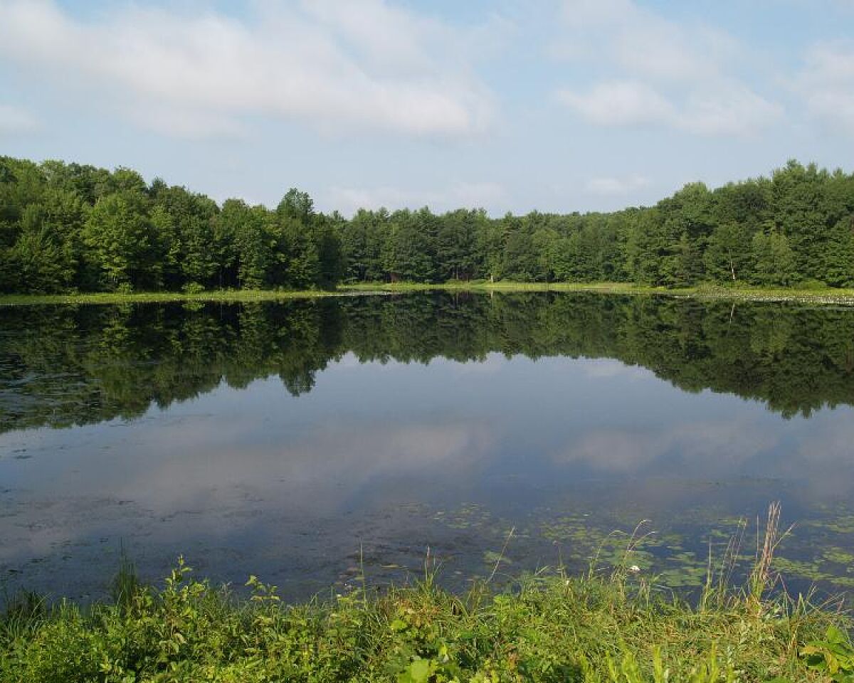 Fitzgerald Lake Conservation Area