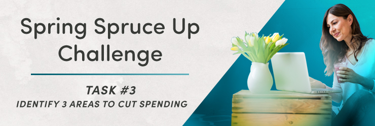 Identify 3 areas to cut spending