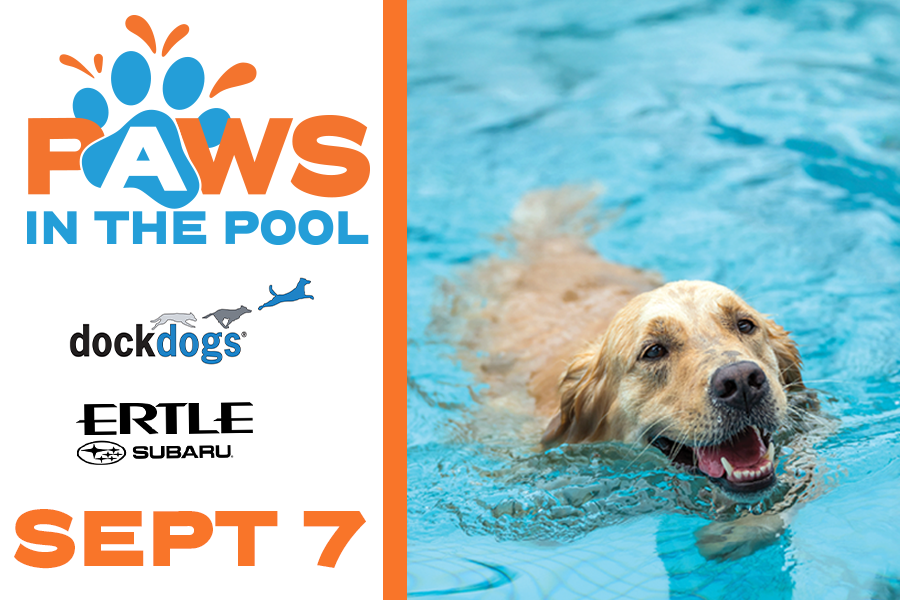 Poconos Paws in the Pool Camelback Resort