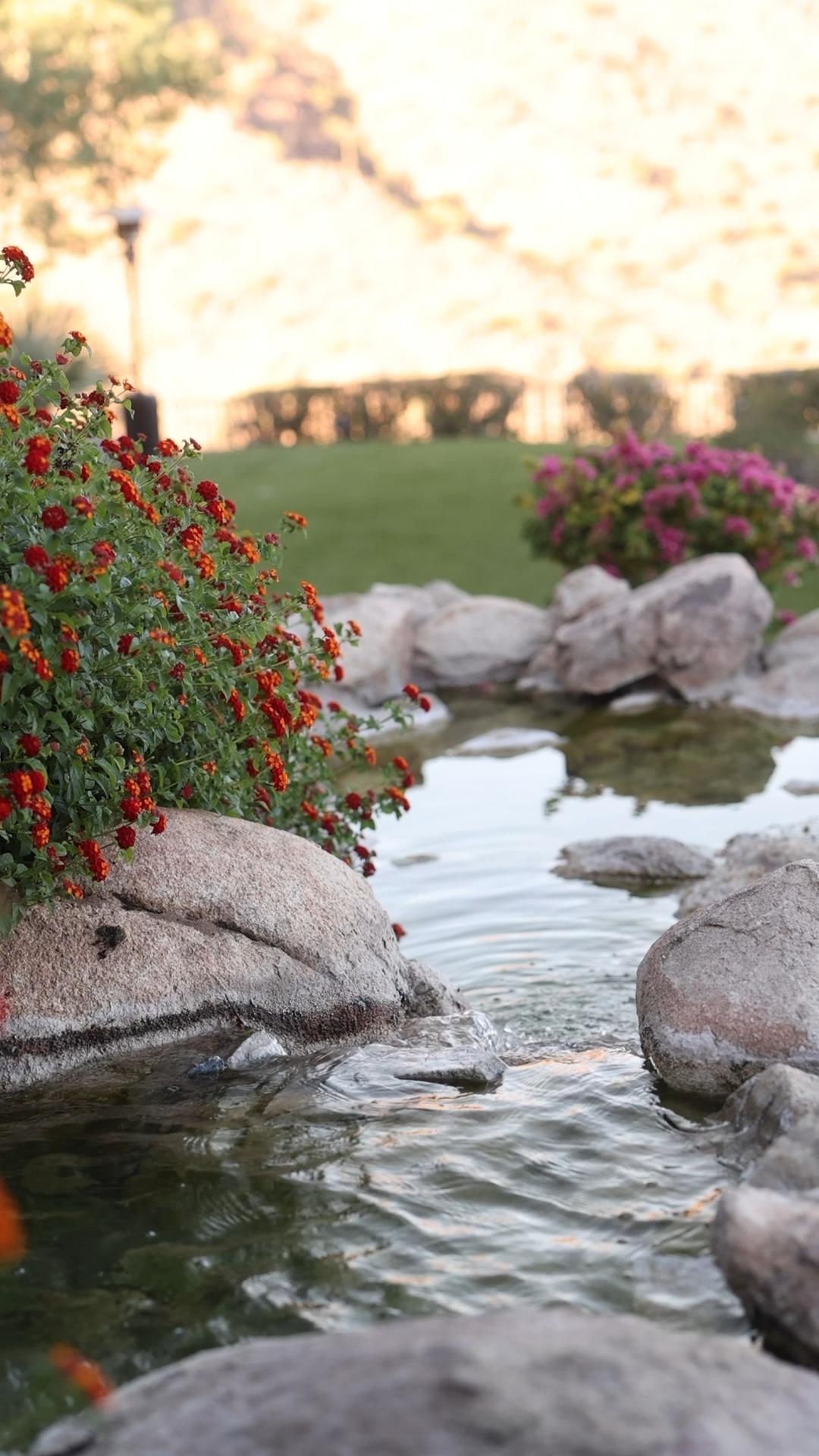 ADERO Scottsdale Resort, an Autograph Collection Hotel Instagram