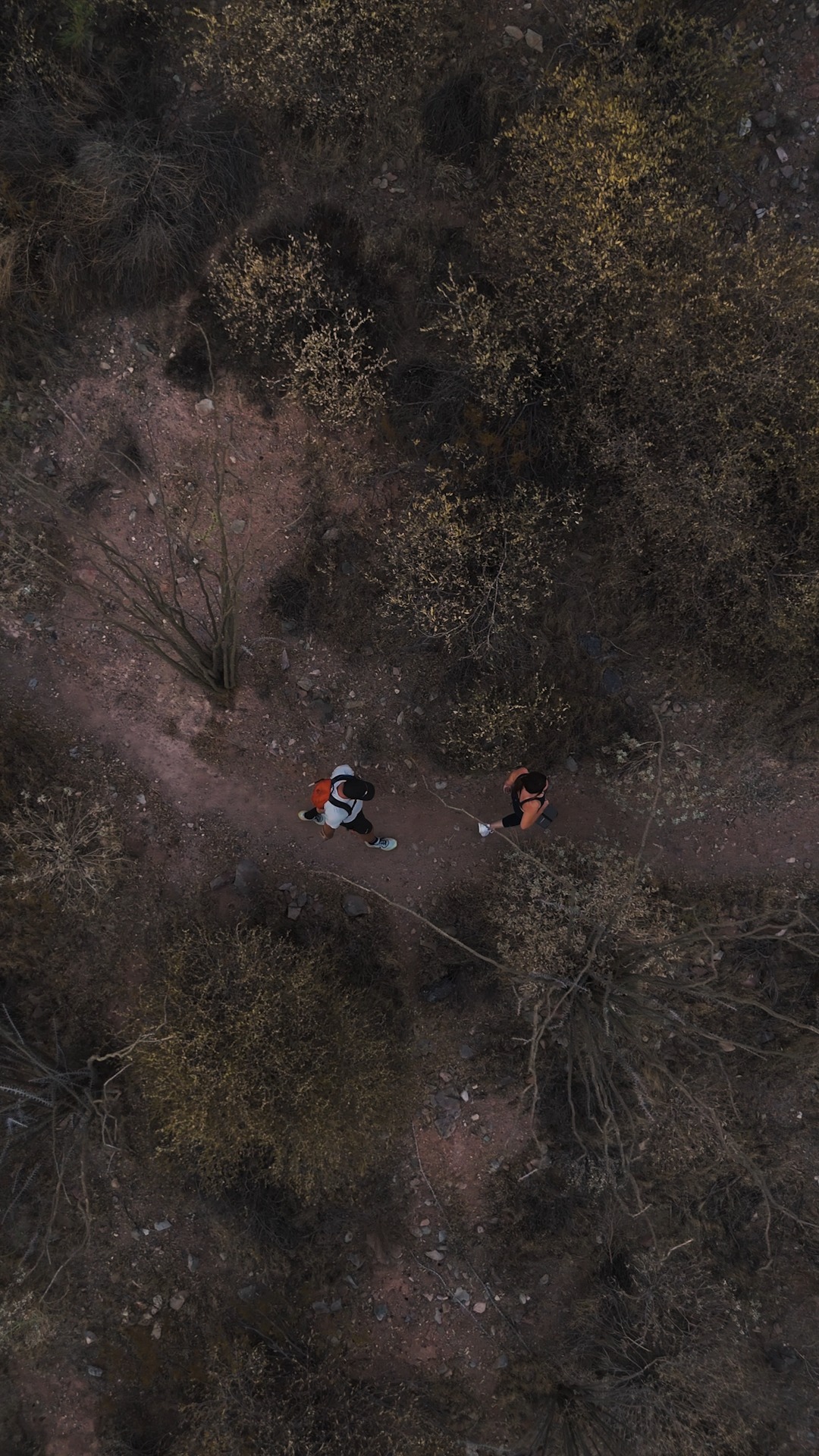 ADERO Scottsdale Resort, an Autograph Collection Hotel Instagram