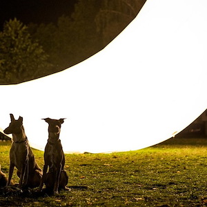 Sheraton Bratislava Hotel Instagram Feed