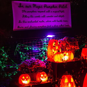 Camp Jellystone, LLC Instagram