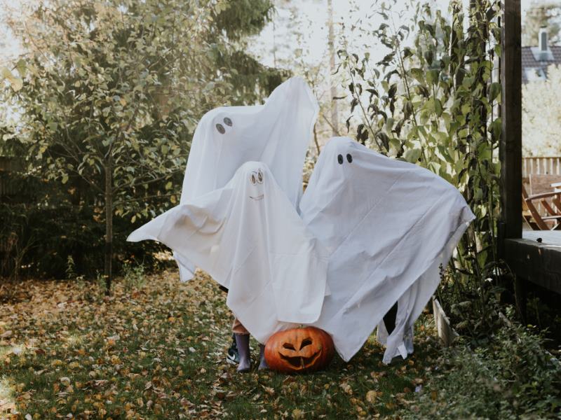 Scarey-Okee