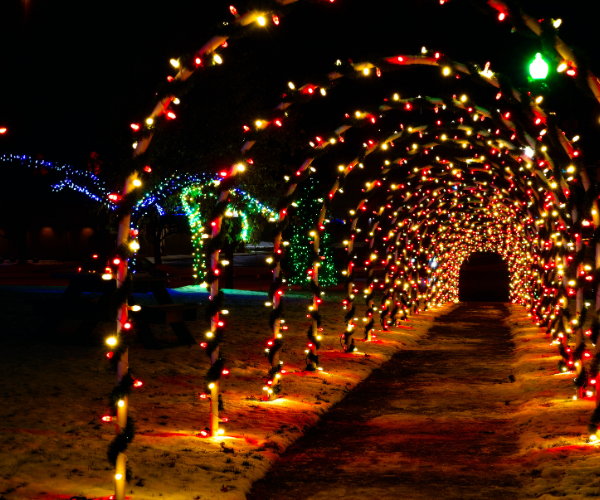 Holiday Lights Celebration