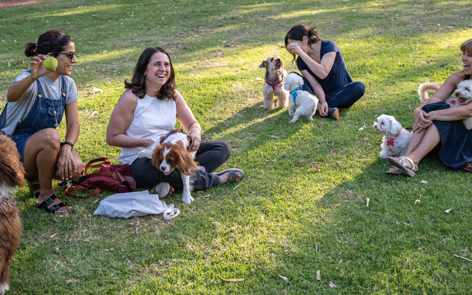 Yappy Hour