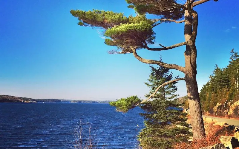 Acadia National Park Fjord
