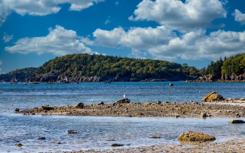 Shoreline in Bar Harbor Maine