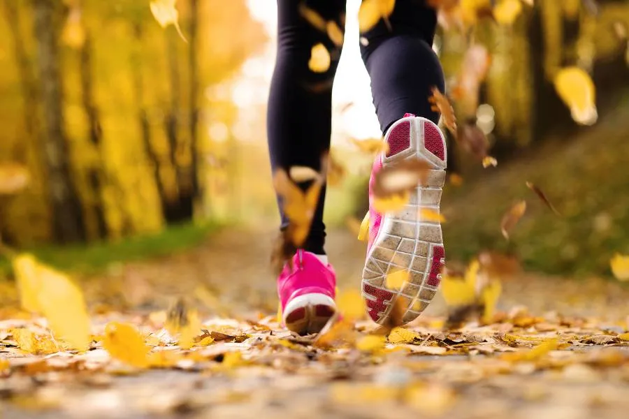 Close-up of a runner in fall foliage