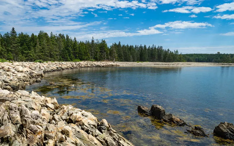 Trees surrounding a cove in the Schoodic Peninsula in the Acadia National Park in Maine